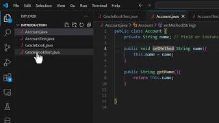 Program in Java - Introduction | Lesson 5 | Instance Variable