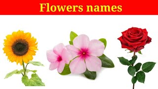 Flowers names in English, flowers, flowers names, English to Telugu tutorials.