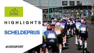 Kampf um den prestigeträchtigen Scheldepreis | Highlights deutsch | Scheldeprijs 2026