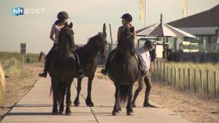 Strandrit met je paard! | NH Bokt TV