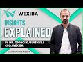 Insights Explained by Mr. Giorgi Kublashvili -  CEO, Wexiba