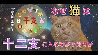 【雑学】猫が十二支に入れなかった理由をざっくりと解説【十二支/干支】