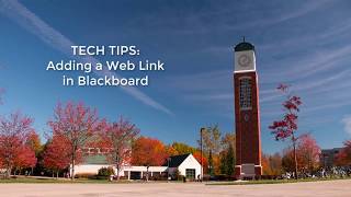Blackboard: Adding a Web Link