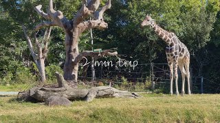 【2分旅行】天王寺動物園/大阪府