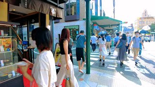 Kyoto Japan walking tour /Gion area in summer /京都祇園周辺を歩く/August 7 2022