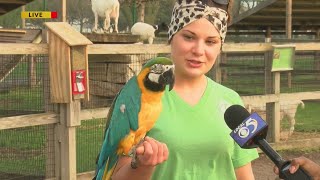 Menominee Park Zoo reopens