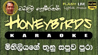 Mihiliyage Thunu Sapuwa Pura Karaoke (Without Voice) මිහිලියගේ තුනු සපුව පුරා  කැරෝකේ