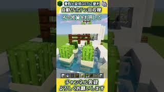 【マイクラ/Minecraft 切り抜き】超効率的な自動サボテン回収機の作り方とサボテンの使い道と解説！　#Shorts