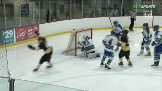 Burnsville vs Eagan Boys Hockey Highlights