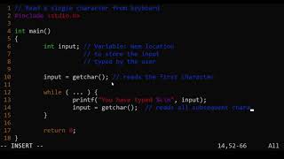 multiple getchar with while