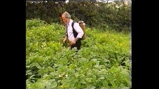 Potato blight in Ireland - Spraying the spuds to stop the blight