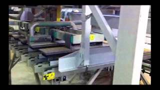 Joulin Gantry Robots : Desticking on conveyor after picking