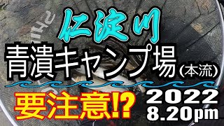 アユの友釣り 仁淀川(高知県) 本流青潰キャンプ場上の瀬 2022.8.20pm