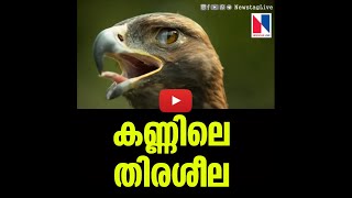 കണ്ണിന്റെ  തിരശീല കണ്ടിട്ടുണ്ടോ ! Magic Eagle Eye Blinking Eagle Eye:\