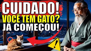 CHOCANTE: O Que a Espiritualidade Revela Para quem Tem GATO EM CASA 🐱🐾