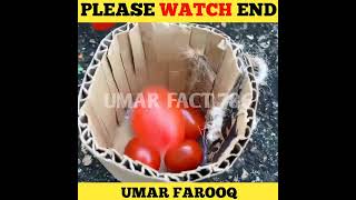 BiBi goes to harvest fruit on the farm#shorts Umar fact 786#shorts