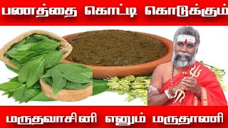 மருதாணி வச்சு பூஜை செஞ்சா பணக்காரர் நீங்க தான் | இந்த பதிவை பாக்கனும்னா கடவுள் அனுகிரகம் வேணும்