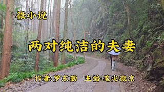 微小说《两对纯洁的夫妻》，作者：罗东勤，出轨的代价