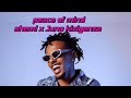 peace of mind by Shemi feat Juno kizigenza lyrics video