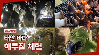 태안 해루질 체험하기 ㅣ 태안 어벤져스 펜션 내돈내산 리뷰