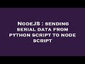 NodeJS : sending serial data from python script to node script