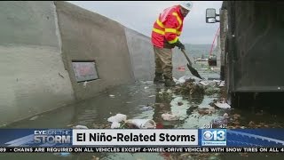 California Weathers El Niño, But Wild Weather Not Over
