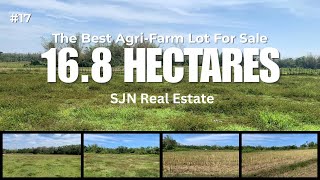 Budget-Friendly Tourist Spot Farm-Lot For Sale || 16.8 Hectares || #17