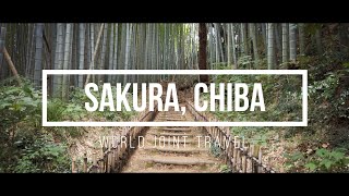 【WJT Online Tour】Part  3 : Sakura, Chiba