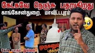 கேட்கவே நெஞ்சு பதறுகிறது 🥹 | முருகனின் இடம் புத்தரிடம்🥲 | Kankesanturai Maviddapuram | Pavaneesan