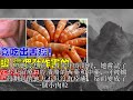 吃蝦子竟然吃出了「舌癌」，只因為在吃蝦時有這種「習慣動作」！快看看你有沒有啊......