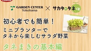 ミニプランターでタネから楽しむサラダ野菜　タネまきの基本編