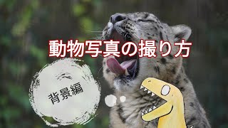 動物園での動物の撮り方:背景編