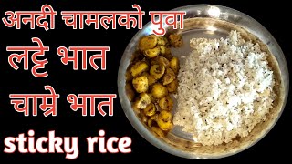 लट्टे/ चाम्रे अर्थात् अनदि चामलको पुवा| Anadi ko puwa ra aalu ko tarakari | Anadi ko chamre recipe |