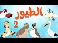 أنشودة الطيور  2  |  قناة أسرتنا