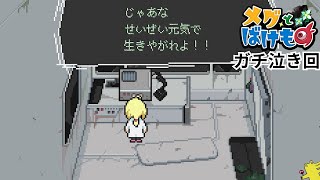 この動画は必ず泣く。名作ゲーム【メグとばけもの】#4