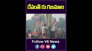 రేవంత్ కు గజమాల  | Grand Welcome To Revanth Reddy  | V6 News