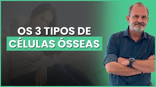 Os 3 tipos de células ósseas