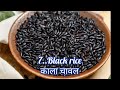 how many types of rice are there rice names types of rice varieties of rice चावलों के प्रकार