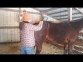 Equi-Tape Certification video