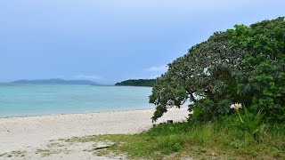 Walking to Kondoi Beach / 歩いてコンドイビーチ（竹富島）