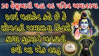 સોમવતી આમસના દિવસે કાળા કૂતરાને ખવડાવો આ વસ્તુ #somvatiamavasya #somvatiamas #rashimantra #rashifal