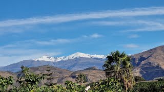 How we create a fruit paradise in Spain- our first exotic trees