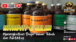 Introvit E Selen | STAR FARM STORE