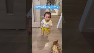 何かを訴えている… #1歳 #1歳児 #赤ちゃん #赤ちゃんのいる生活 #成長 #1歳4ヶ月#育児#成長#こども #歩く#喋る