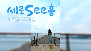 [세로See흥] 세로로 보는 배곧한울공원🏝