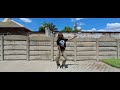 AKINEO|Goosebumps - @TravisScottXX feat @kendricklamar (Dance Video)#goosebumps #dance