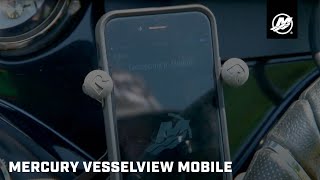 Mercury SmartCraft - VesselView