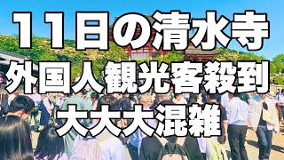 [4K] May 11, 2023 (Thursday) Crowds at Kyoto sightseeing spots. Influx of foreign tourists