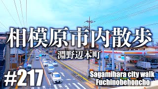 No.217【4K】相模原市内散歩（淵野辺本町・前編）