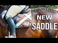 My Horse's New Saddle | Voltaire | Try On | Most Complete Review